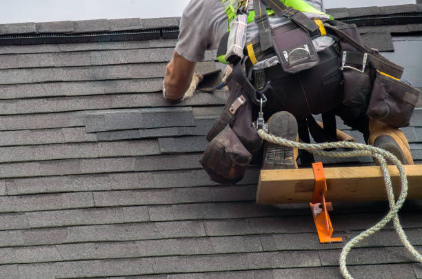 Quick and Trustworthy Emergency Roof Repair Services in Pleasant Ridge, MI