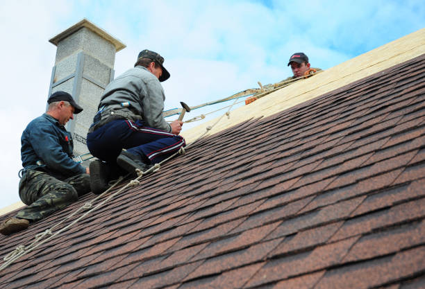 Best Roof Maintenance Services  in Pleasant Ridge, MI