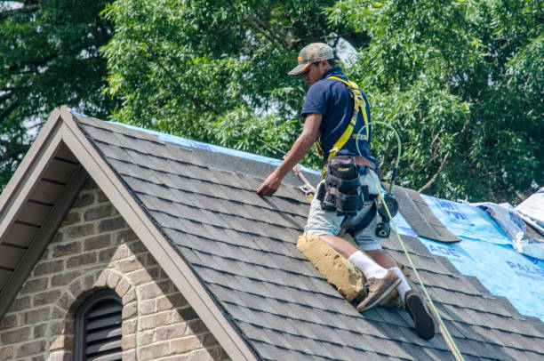 Best Residential Roofing Contractor  in Pleasant Ridge, MI
