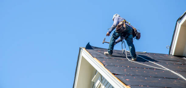 Best Roof Restoration Services  in Pleasant Ridge, MI